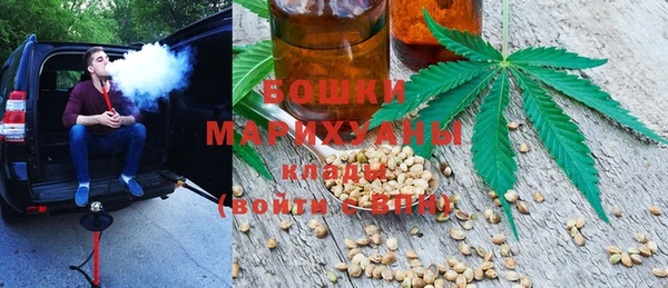 гашик Нефтекумск