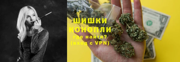 гашик Нефтекумск