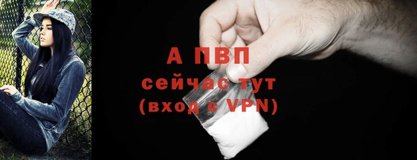 стафф Навашино