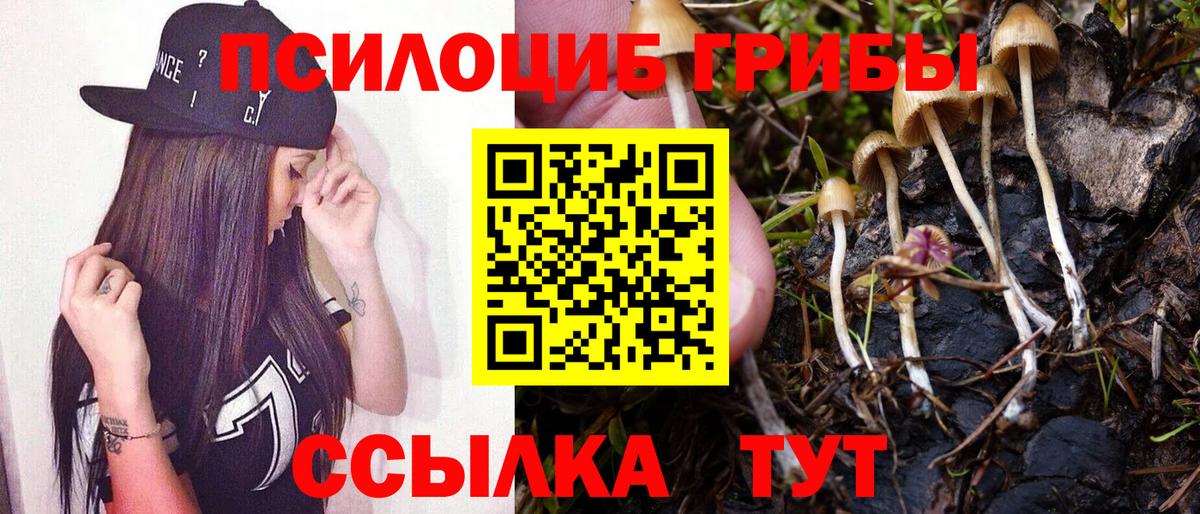 Псилоцибиновые грибы мицелий Зеленокумск