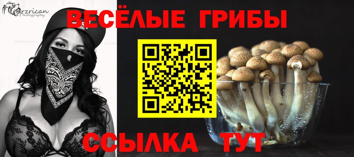Зеленокумск  Псилоцибиновые грибы Magic Shrooms  Вход с VPN 